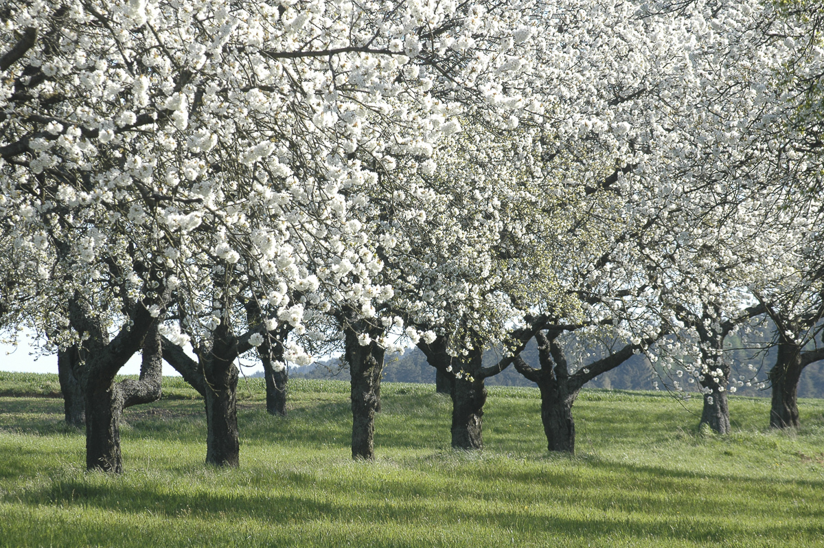 Von wem möchte man Komplimente bekommen?